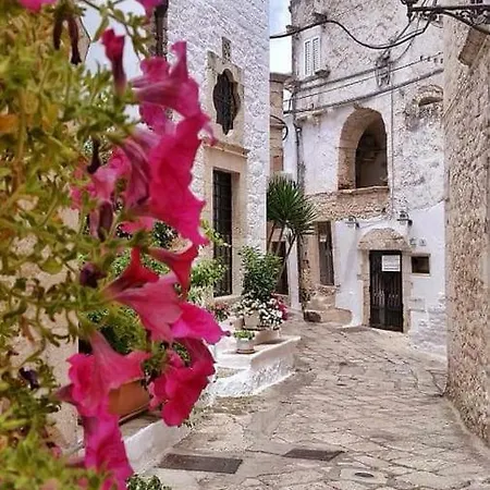 Turistico Nino Apartment *